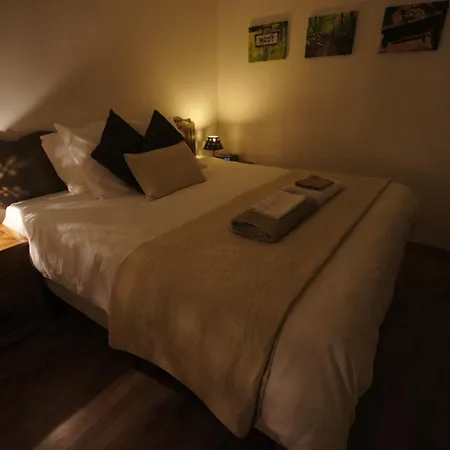 Paisible Avec Jardin Prive, Proche Commerces, Parking, Wifi, Animaux Acceptes, - Fr-1-526-19 Semesterbostad *